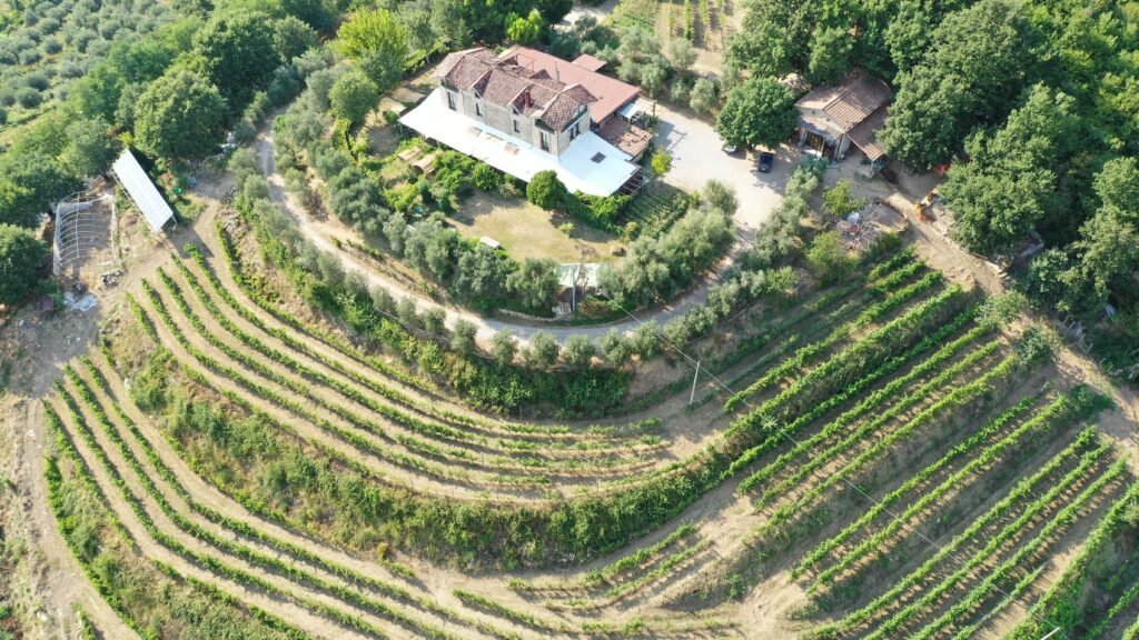 Azienda Agricola Terranova