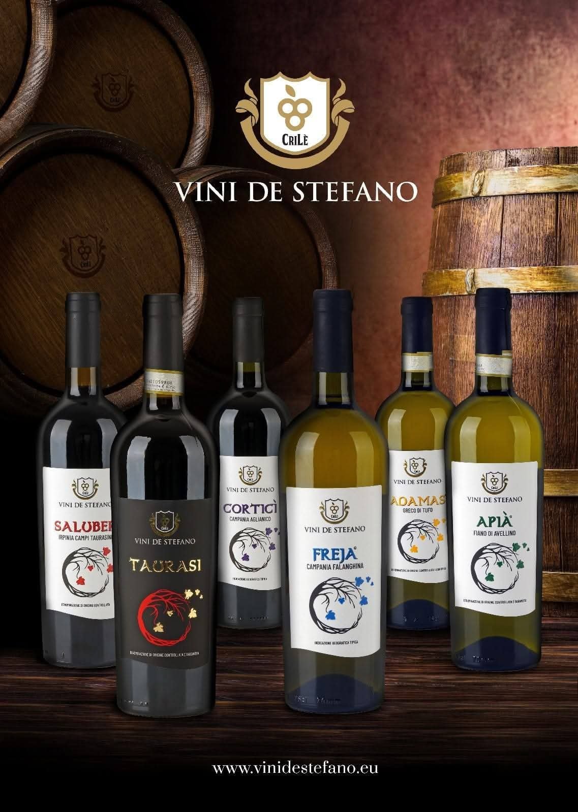 Vini De Stefano: quando il vino diventa ambasciatore dell’Irpinia nel mondo
