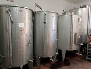 Vini De Palma
